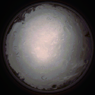 capture_202112020800_7130.Png