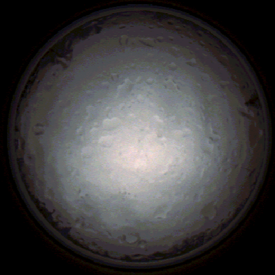 capture_202112020833_7163.Png