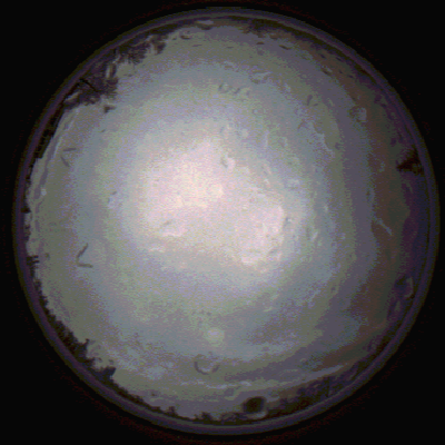 capture_202112020803_7134.Png