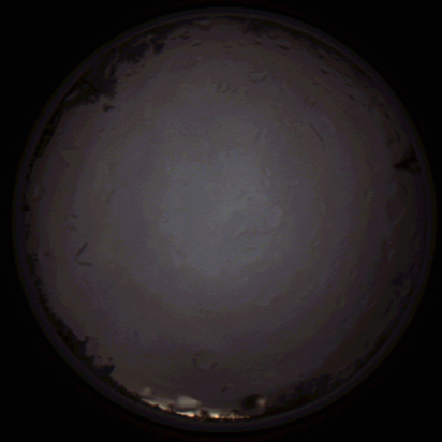 capture_202112020749_7120.Png
