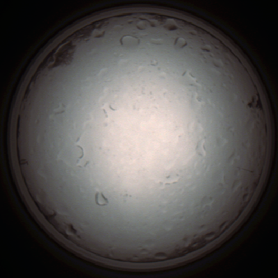 capture_202112021037_7286.Png
