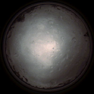 capture_202112020916_7214.Png