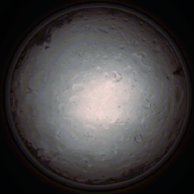 capture_202112020830_7159.Png
