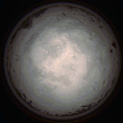 capture_202112020855_7184.Png
