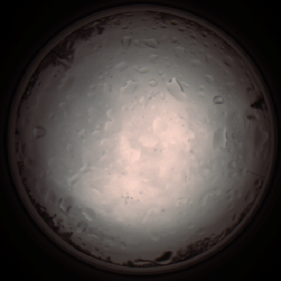 capture_202112020833_7168.Png