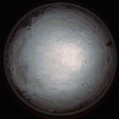 capture_202112020828_7158.Png
