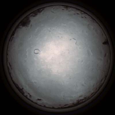 capture_202112021204_7374.Png