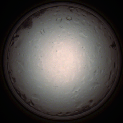 capture_202112020952_7242.Png