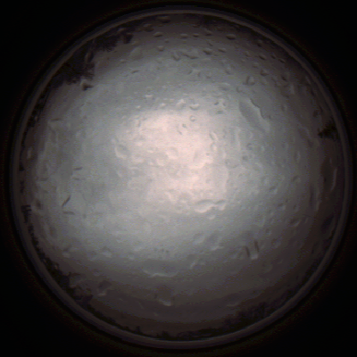 capture_202112020822_7152.Png