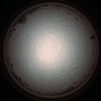 capture_202112020951_7240.Png