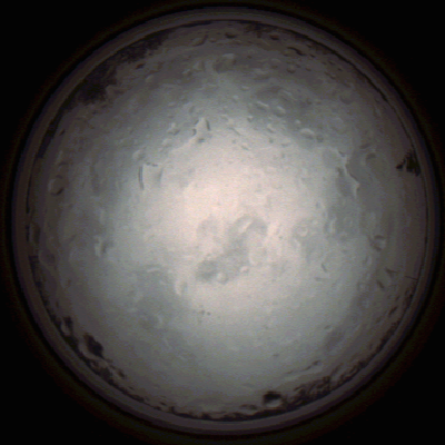 capture_202112020901_7191.Png
