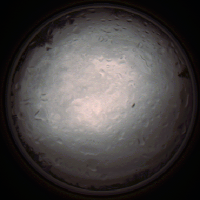 capture_202112020820_7150.Png