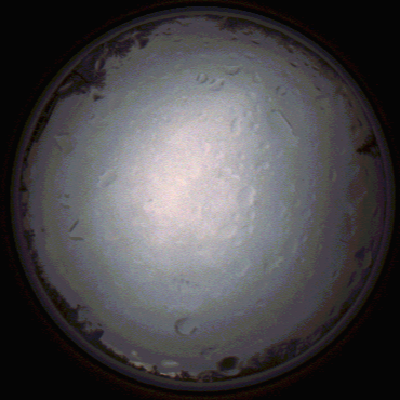 capture_202112020754_7125.Png