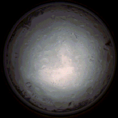 capture_202112020833_7166.Png