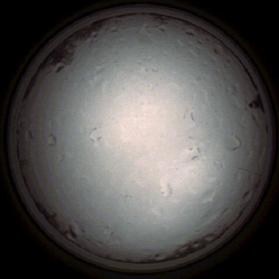 capture_202112021002_7252.Png