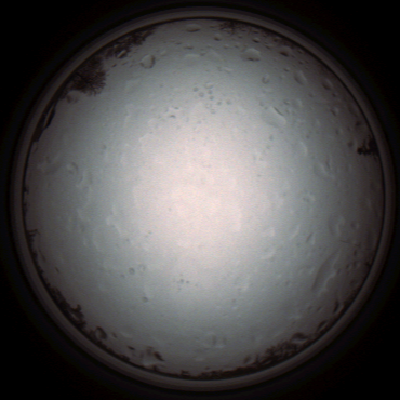 capture_202112021242_7413.Png