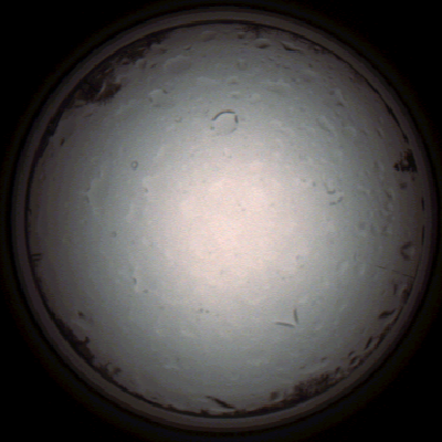 capture_202112021416_41.Png