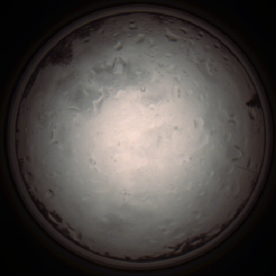 capture_202112020909_7199.Png
