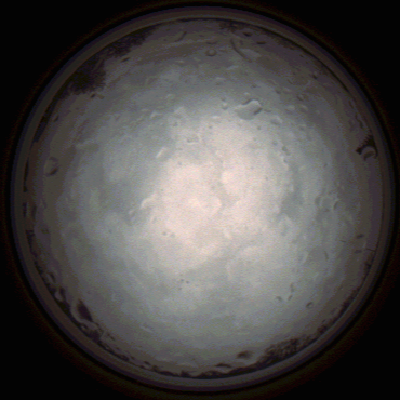 capture_202112020858_7189.Png