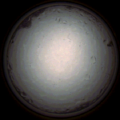 capture_202112020944_7238.Png
