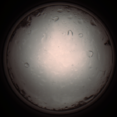 capture_202112020929_7222.Png