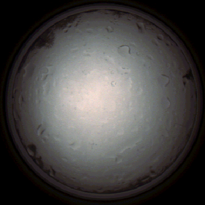 capture_202112020958_7249.Png
