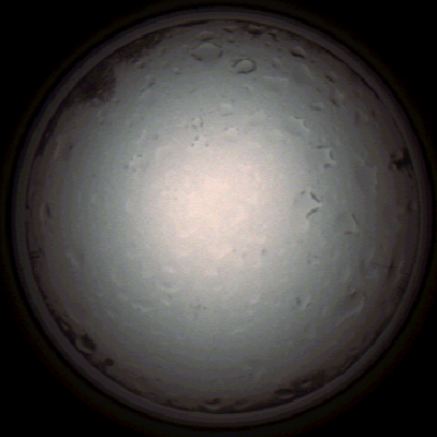 capture_202112020953_7244.Png