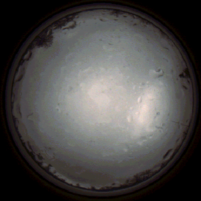 capture_202112020925_7217.Png
