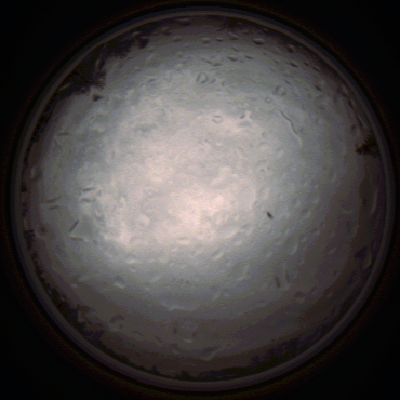 capture_202112020819_7148.Png