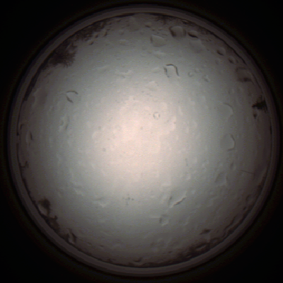 capture_202112020958_7248.Png