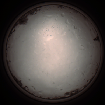 capture_202112020929_7225.Png