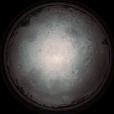 capture_202112020916_7213.Png
