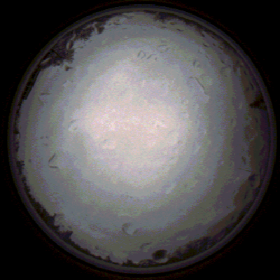 capture_202112020757_7128.Png