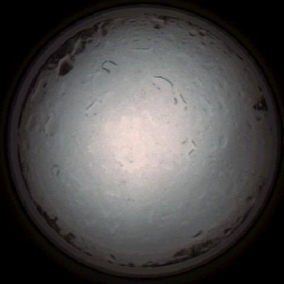 capture_202112021358_24.Png