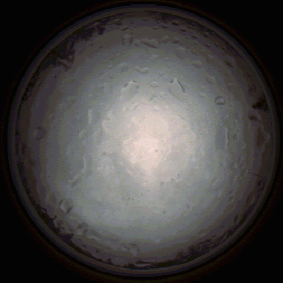 capture_202112020840_7173.Png
