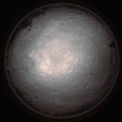 capture_202112020818_7147.Png
