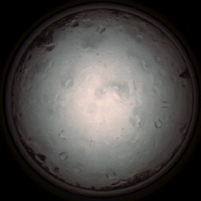 capture_202112020914_7205.Png