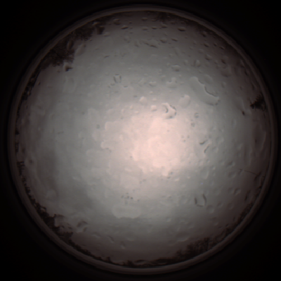 capture_202112020828_7159.Png