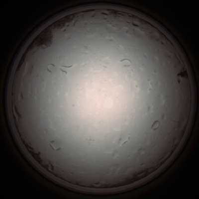 capture_202112020957_7247.Png