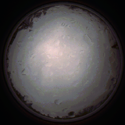 capture_202112020757_7127.Png