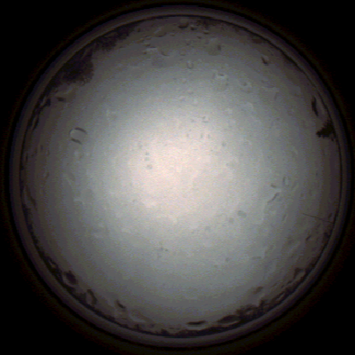 capture_202112020938_7230.Png