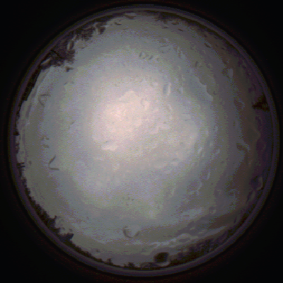 capture_202112020802_7131.Png