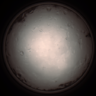 capture_202112020929_7223.Png