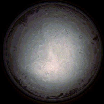 capture_202112020833_7167.Png