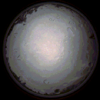 capture_202112020757_7129.Png