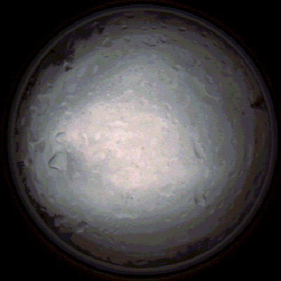 capture_202112020822_7157.Png