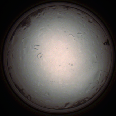 capture_202112021001_7251.Png