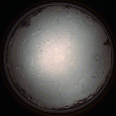 capture_202112020928_7217.Png