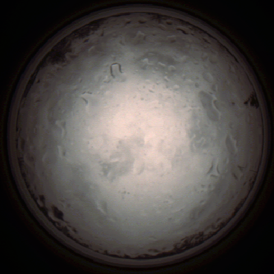 capture_202112020902_7193.Png