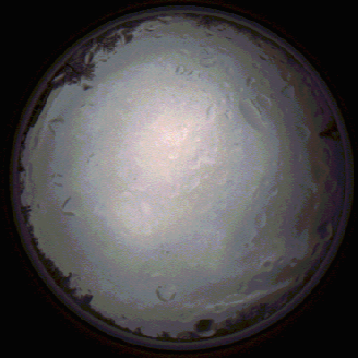 capture_202112020801_7131.Png